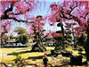 Ghé thăm Nhật Bản những ngày giữa tháng 3 ngắm "rừng" hoa mơ ngập tràn sắc màu