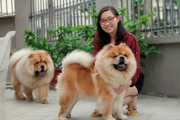 Cô gái Việt sở hữu trại chó giá ngàn đô/con