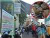 Vụ bảo mẫu bạo hành trẻ ở Đà Nẵng: Chủ cơ sở mầm non khai gì?
